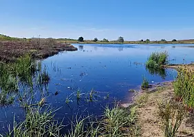 turistipercaso 2024_07_18_16h21m34s_Texel