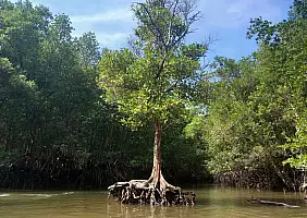 turistipercaso 20250119_105506