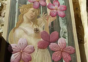 turistipercaso 3 - Fiori di ciliegio