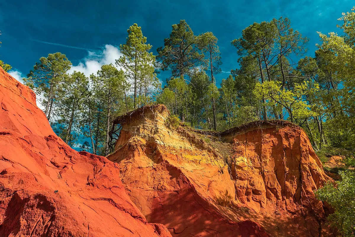 Colorado Provenzale