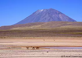 turistipercaso PER_046
