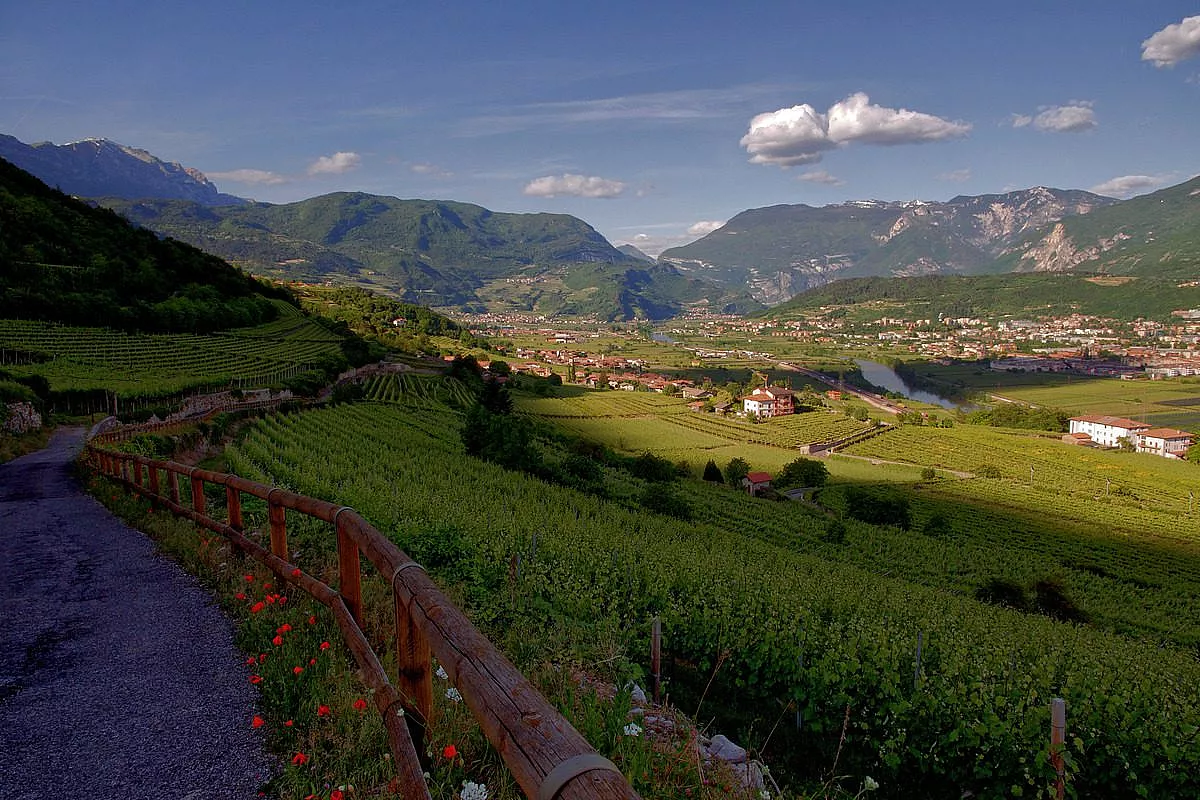 Ala, Vallagarina