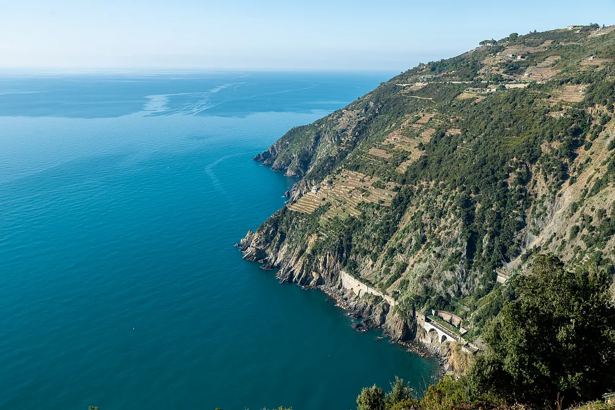Campiglia