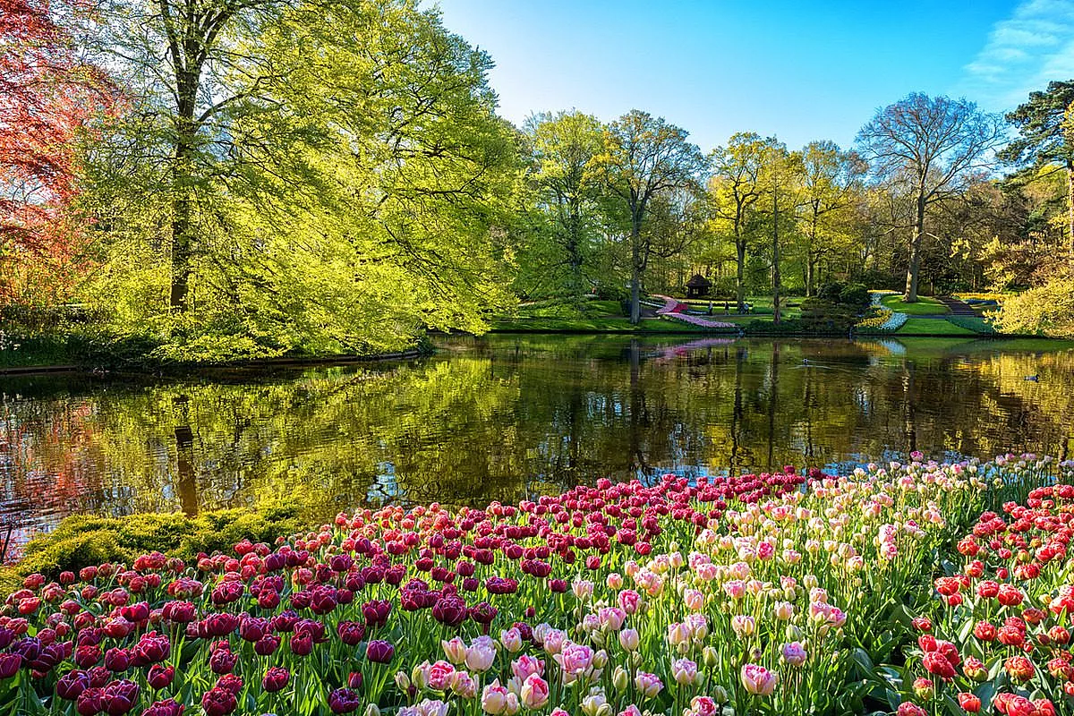 Keukenhof in primavera