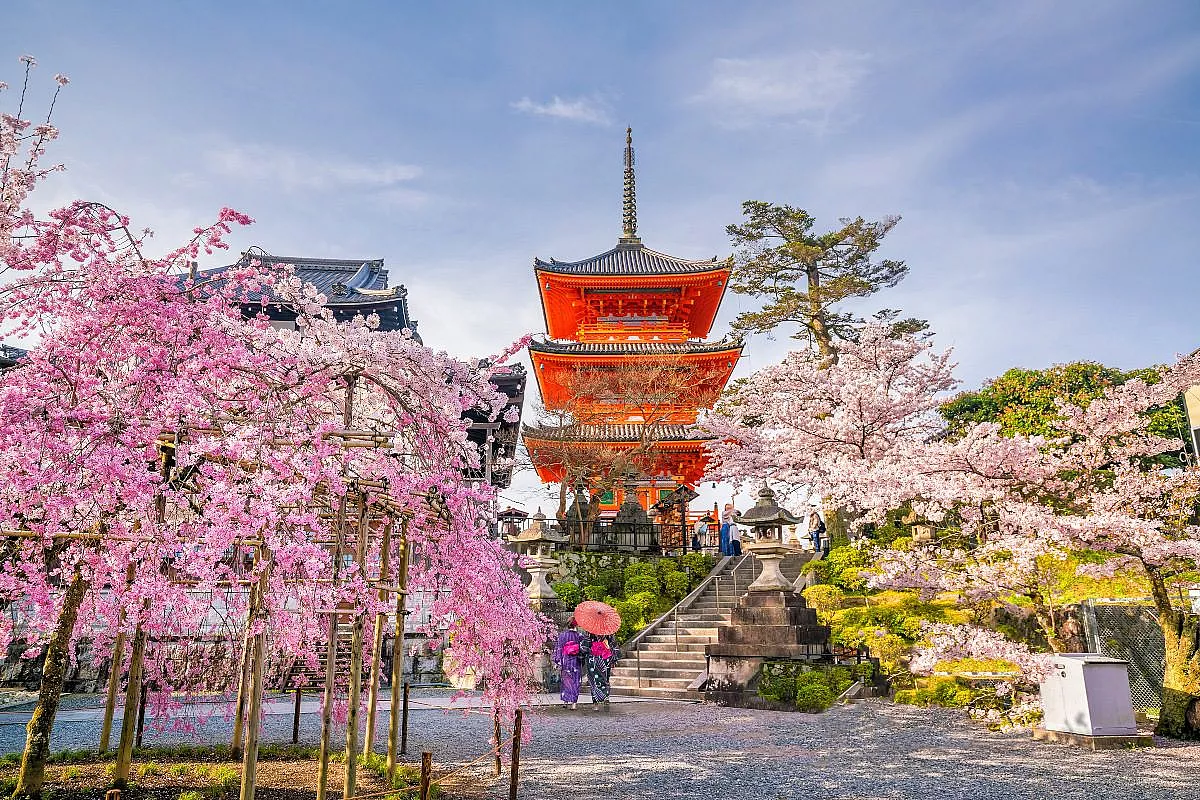 hanami 2026