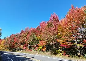 turistipercaso Foliage