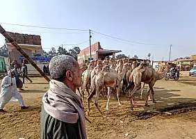 turistipercaso IL_MERCATO_DI_BIRQASH