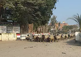 turistipercaso VERSO_BIRQASH