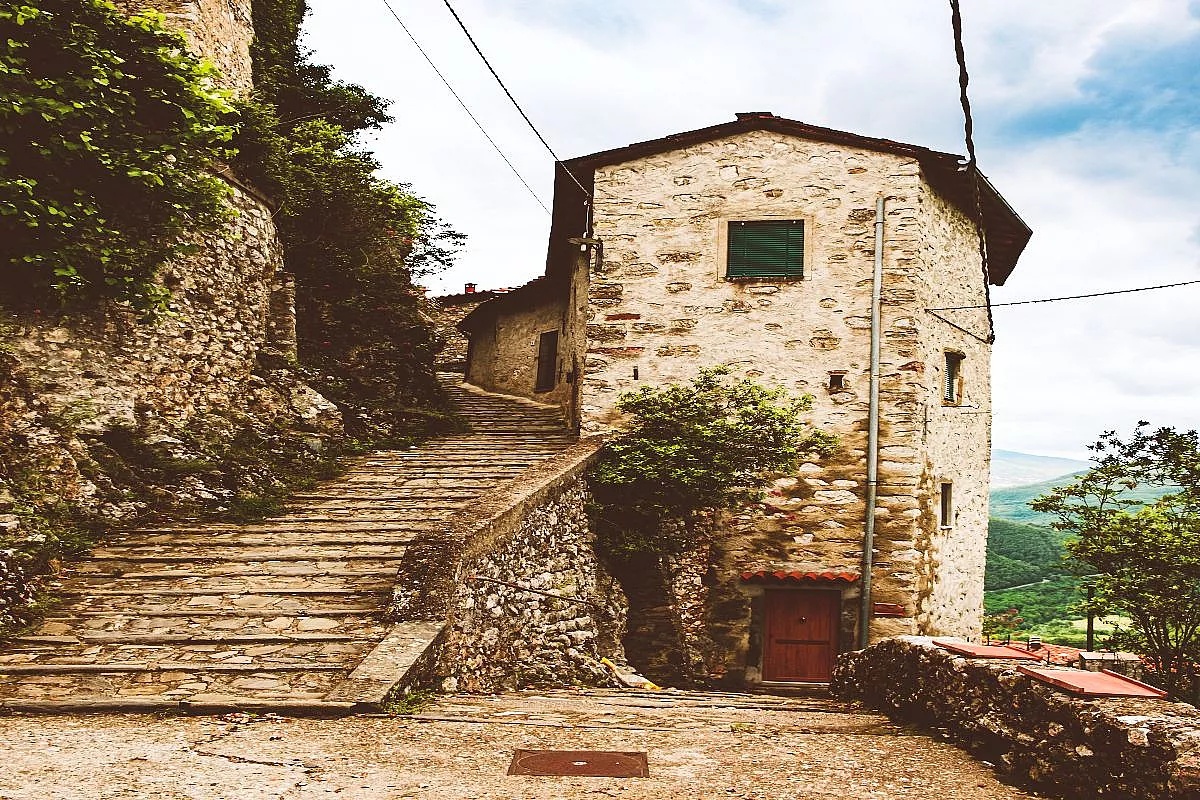 lucchio