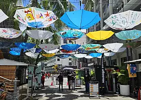 turistipercaso 20241117_111608