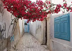 turistipercaso Medina_di_Kairouan