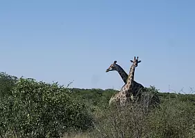 turistipercaso _1240423