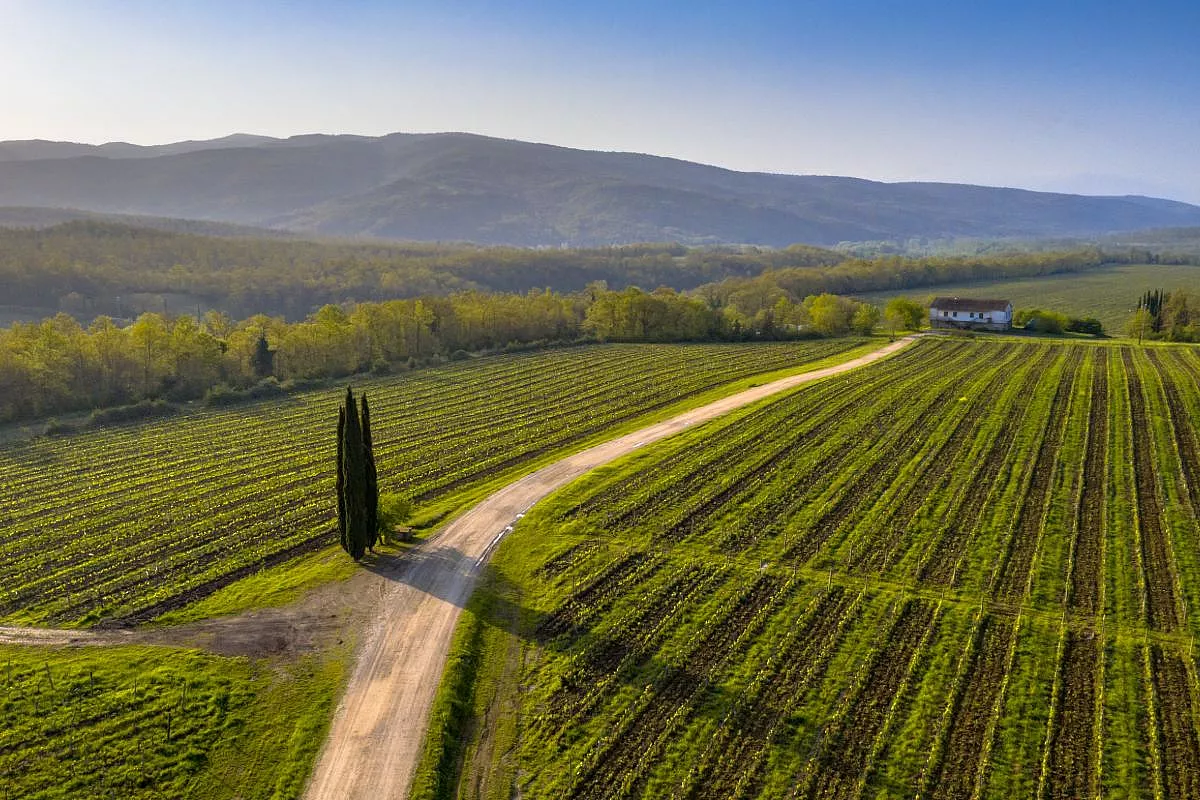 Chianti