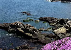 turistipercaso 2025_04_22_20_39_05