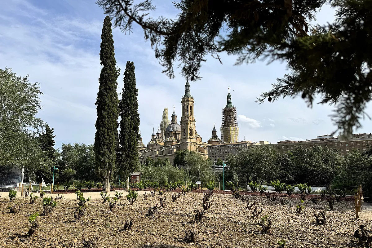 Aragona - giardino della Garnacha