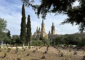 turistipercaso Aragona - garnacha giardino