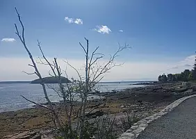 turistipercaso Bar_Harbor_Shore_Path_2_
