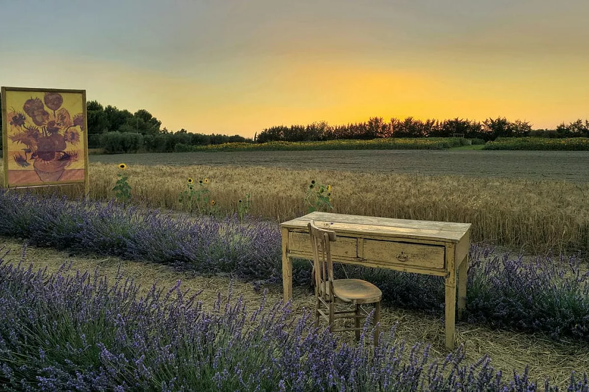 Girasoli e Lavanda di Puglia