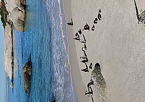 turistipercaso Pinguini