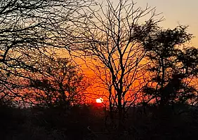 turistipercaso Tramonto_savana