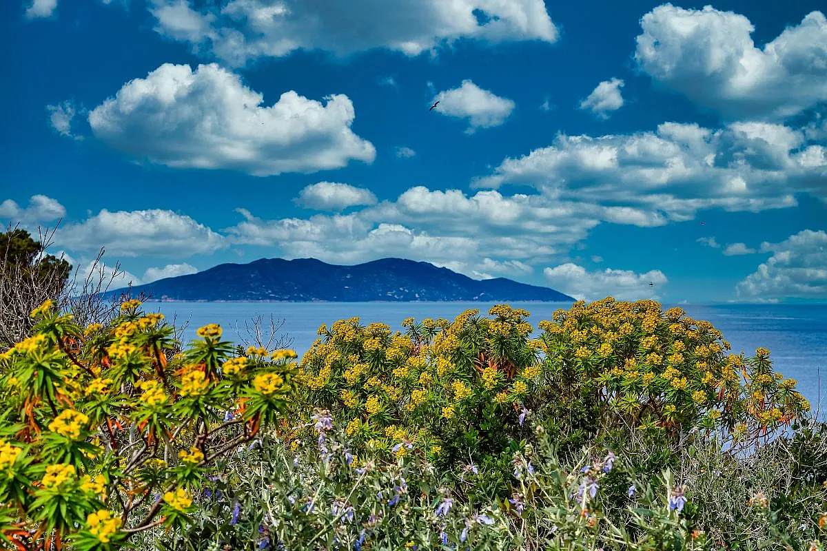 Isola di Giannutri
