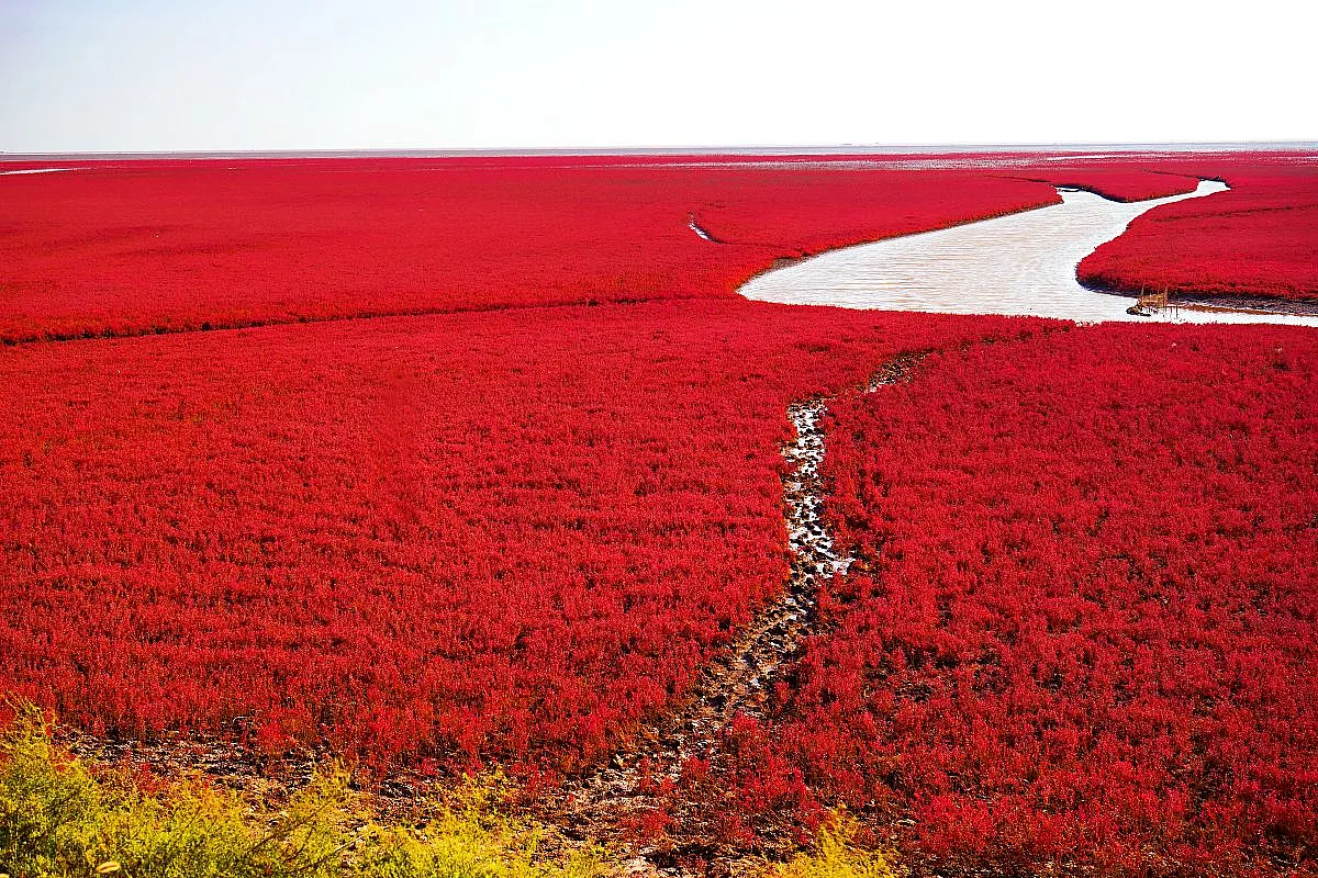 spiaggia-rossa-cina