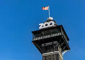 turistipercaso zoo copenaghen_2212891023