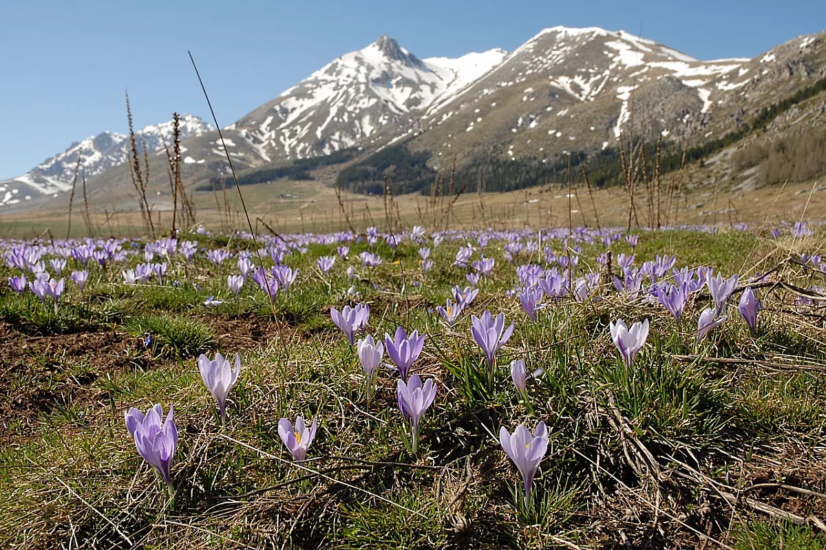 abruzzo