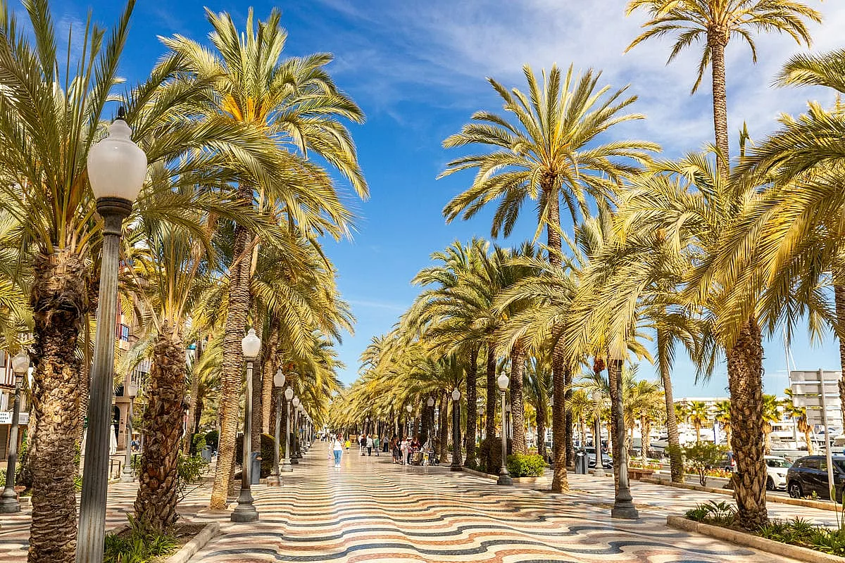 alicante