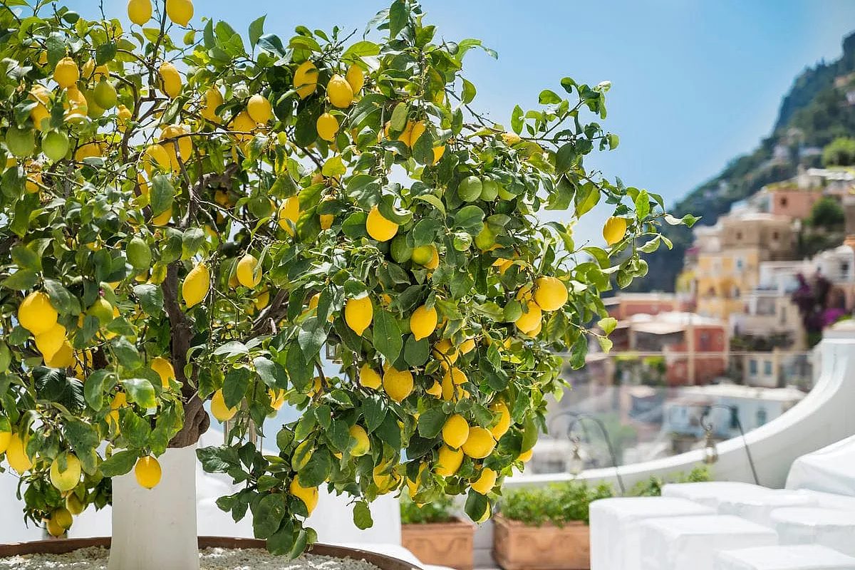 costa d'amalfi