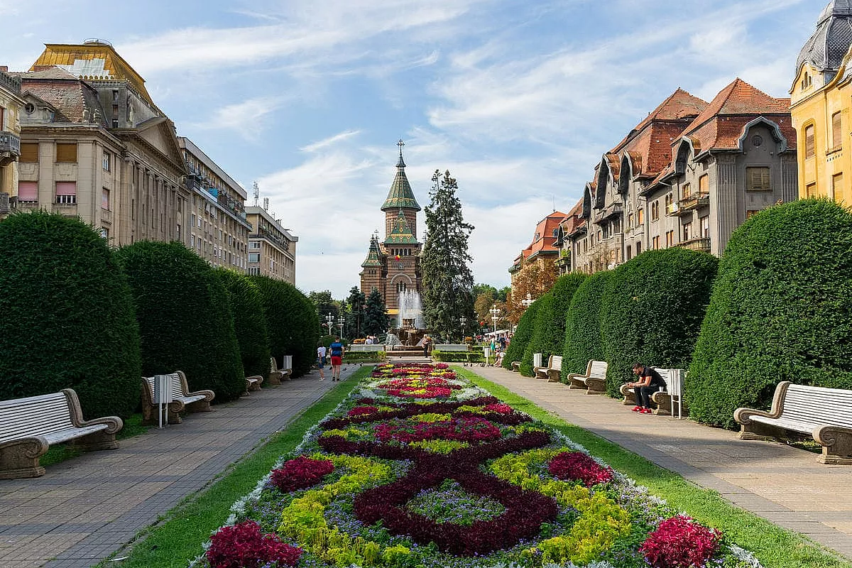 timisoara