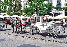 turistipercaso 006_piazza_del_mercato_3_