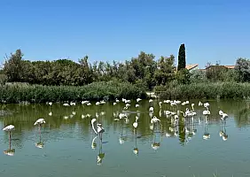 turistipercaso 2_442eb0fe
