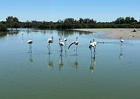 turistipercaso 3_442eb0fe