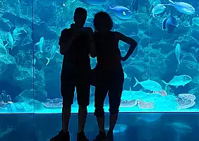 turistipercaso Acquario_KL