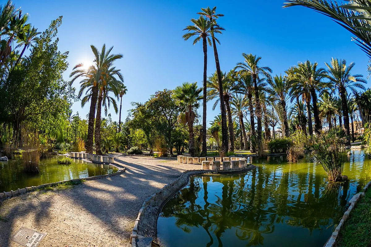 Elche