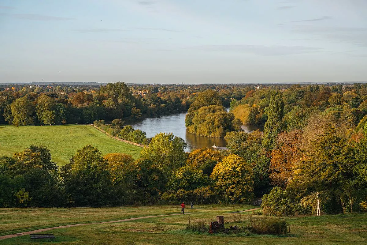 Richmond Park, Londra