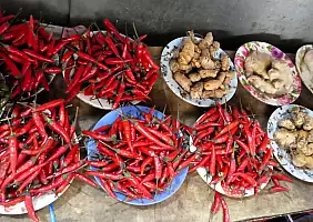 turistipercaso Spezie_KL