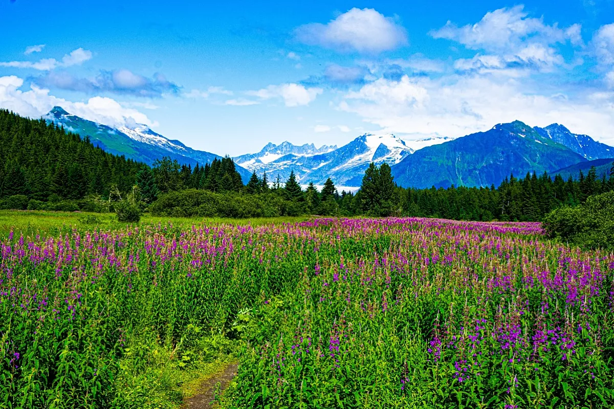 Alaska