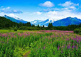 turistipercaso alaska_2501506535_1200x798