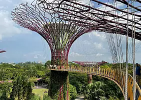 turistipercaso Supertree_grove