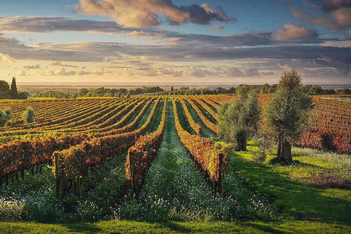 cantine piu belle d'italia