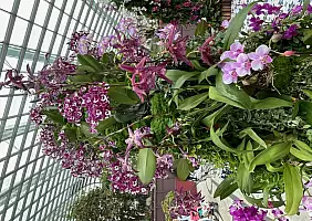 turistipercaso flower_dome