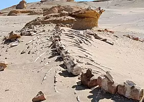 turistipercaso 19_WADI_EL_HITAN