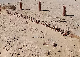 turistipercaso 20_WADI_EL_HITAN