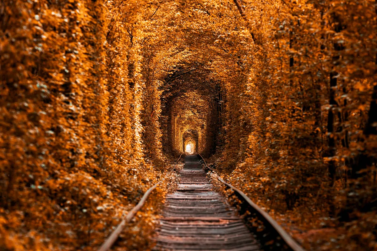 5 viaggi in treno da fare in autunno in Europa