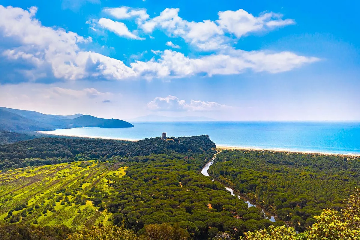 maremma