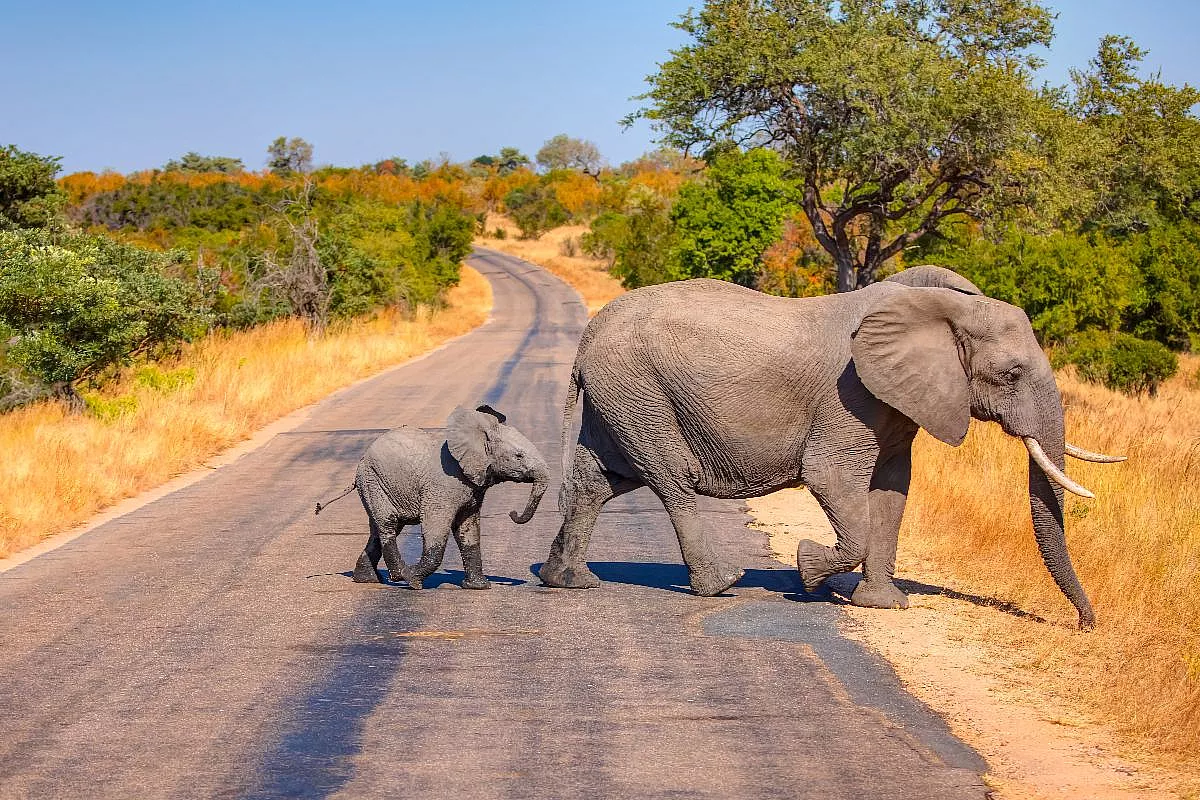 sudafrica