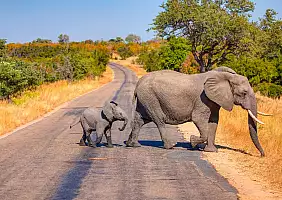 turistipercaso sudafrica_2645415337