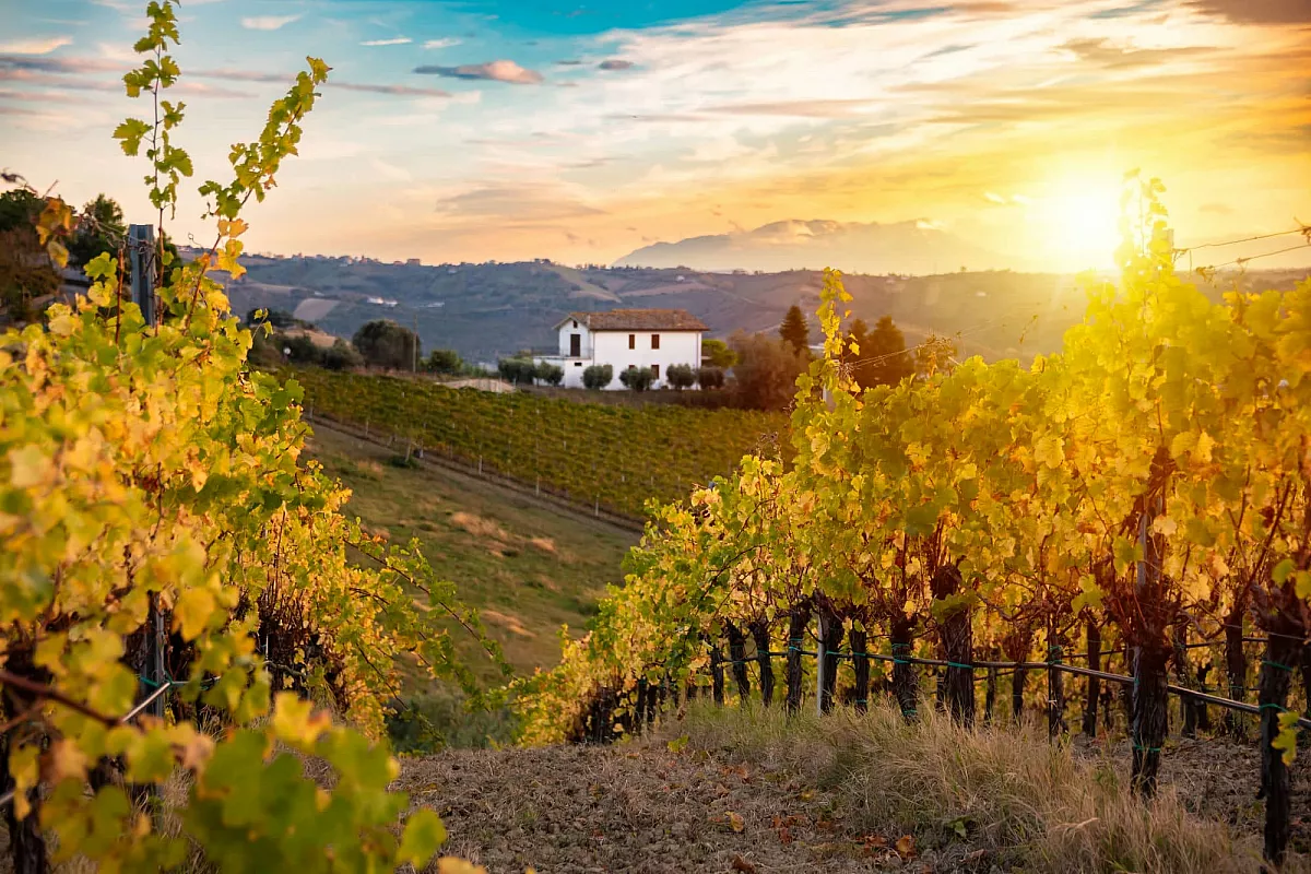 wine resort in italia